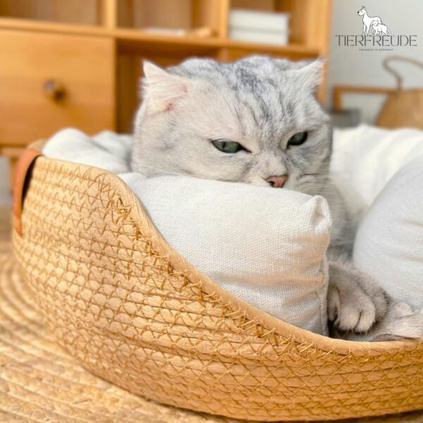 Babusoase: Das Original erhöhte Bambus-Haustierbett – Premium Komfort für Katzen & Hunde im exklusiven Design – Bild 4