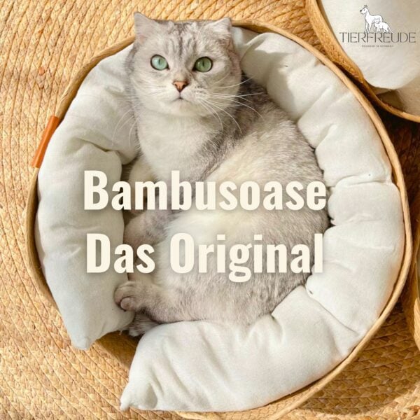Babusoase: Das Original erhöhte Bambus-Haustierbett – Premium Komfort für Katzen & Hunde im exklusiven Design