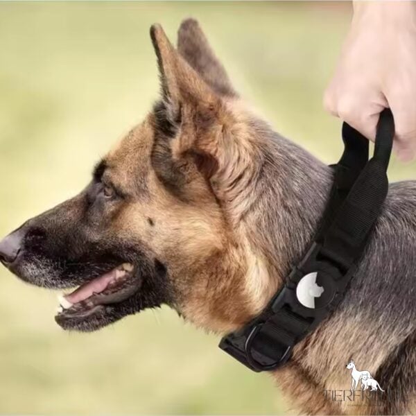 TagGuard Pro – Das Taktische Airtag-Hundehalsband für Sicherheit, Kontrolle & Komfort