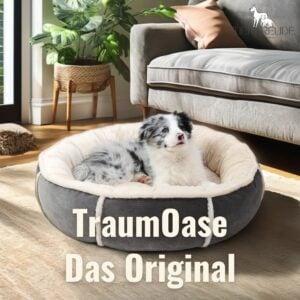 TraumOase – Luxus, den dein Haustier verdient!